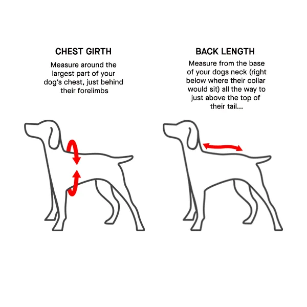 CANADA POOCH SHAKET