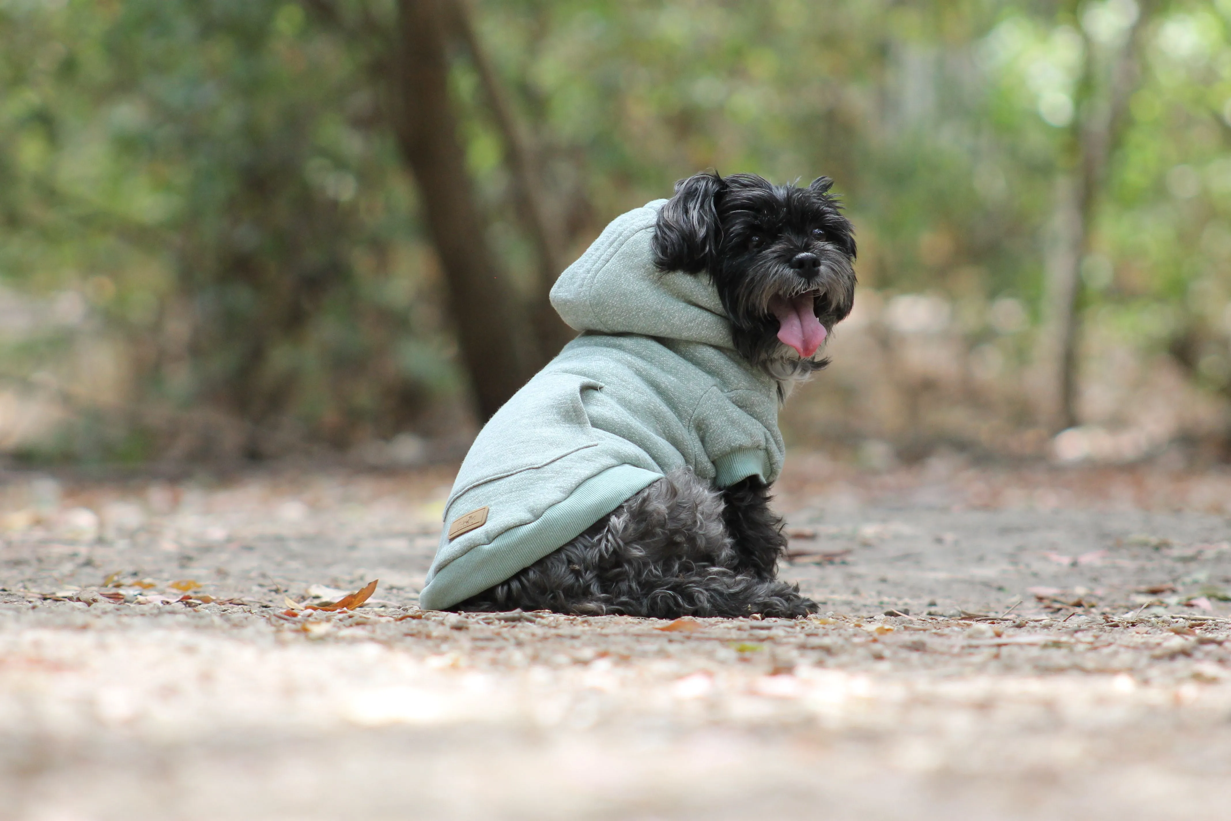Huskimo Mt Snowy Hoodie - Eucalyptus