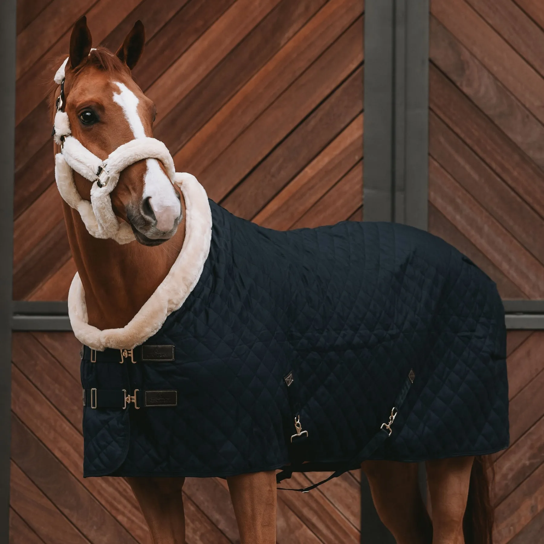 Kentucky Horsewear Show Rug, Black