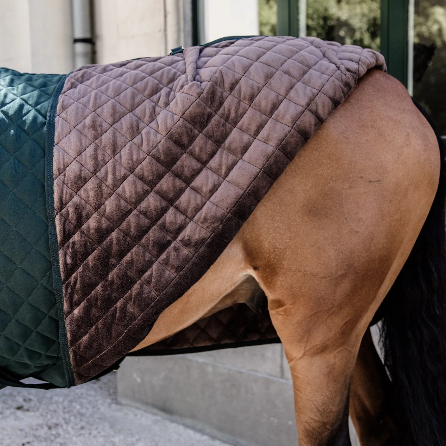 Kentucky Horsewear Show Rug, Dark Green