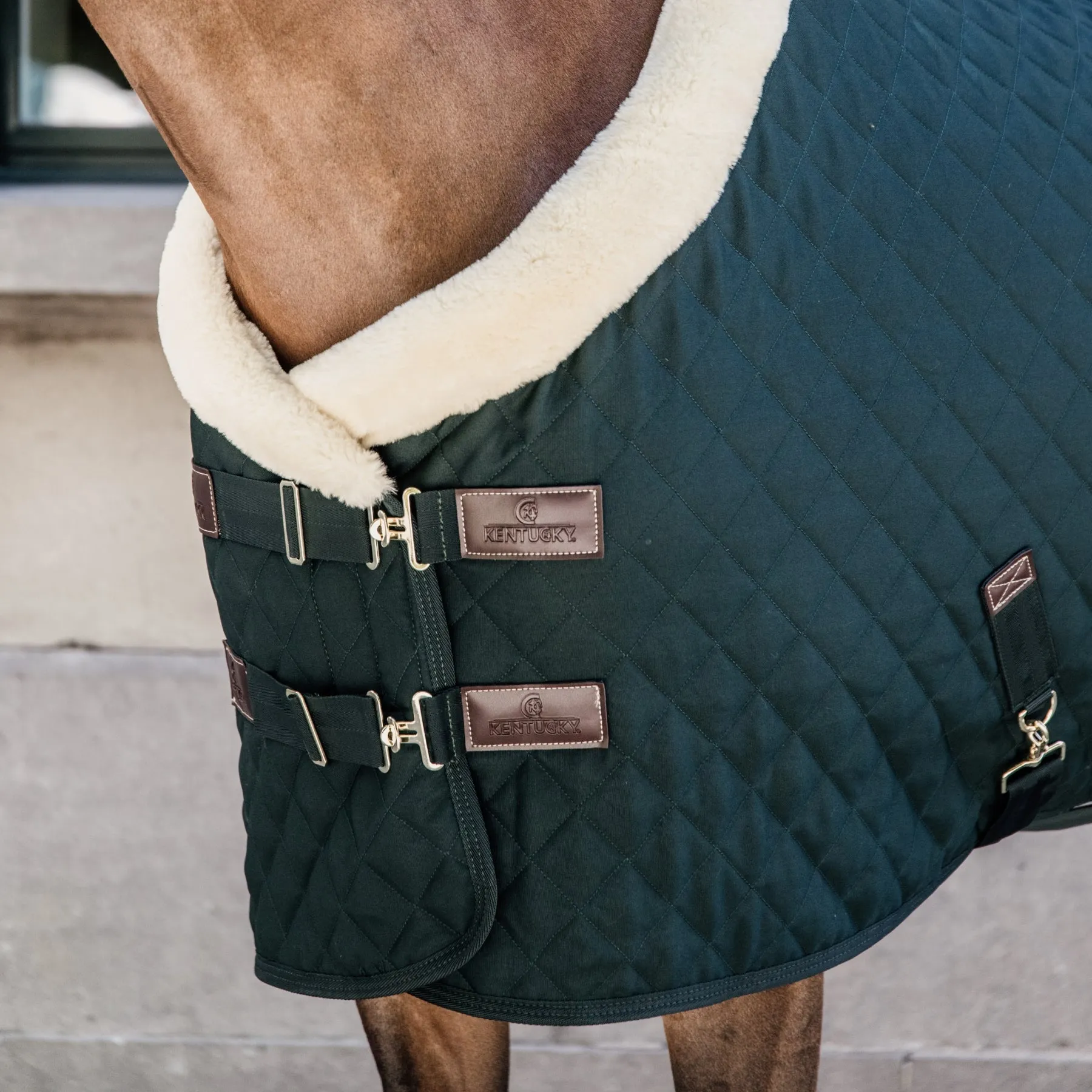 Kentucky Horsewear Show Rug, Dark Green
